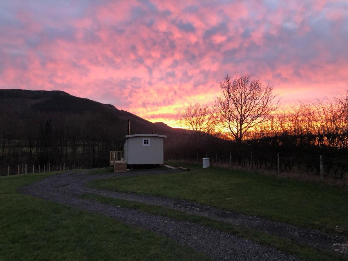 Rosemary Shepherds Hut, Clay Bank Huts Ingleby Greenhow Eksteriør bilde