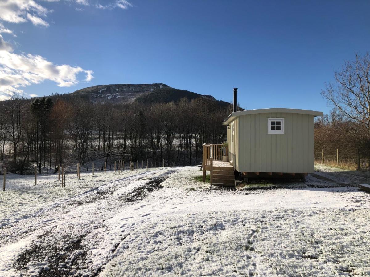Rosemary Shepherds Hut, Clay Bank Huts Ingleby Greenhow Eksteriør bilde